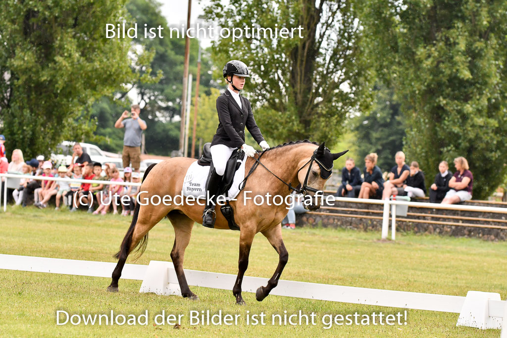 Goldene Schärpe Ponys in Hohenberg Krusemark 2024 | 12072024 Dressur _0266 