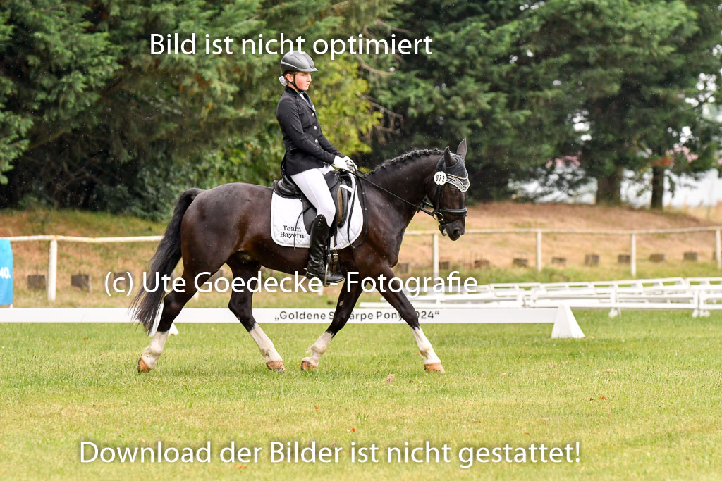 Goldene Schärpe Ponys in Hohenberg Krusemark 2024 | 12072024 Dressur _0267