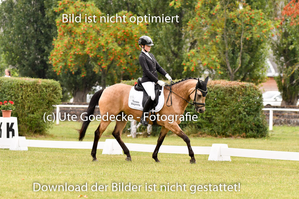 Goldene Schärpe Ponys in Hohenberg Krusemark 2024 | 12072024 Dressur _0269 