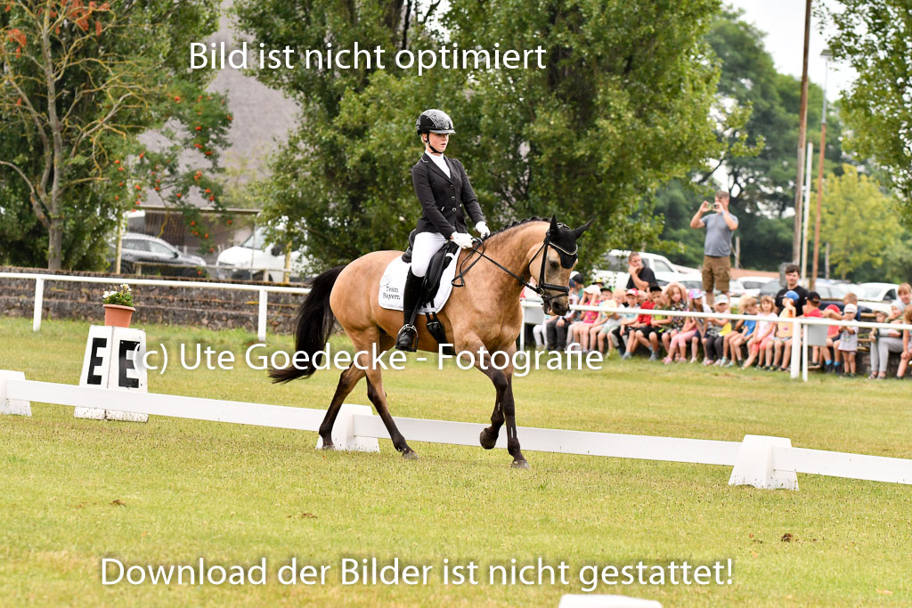 Goldene Schärpe Ponys in Hohenberg Krusemark 2024 | 12072024 Dressur _0271