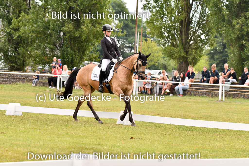 Goldene Schärpe Ponys in Hohenberg Krusemark 2024 | 12072024 Dressur _0272 