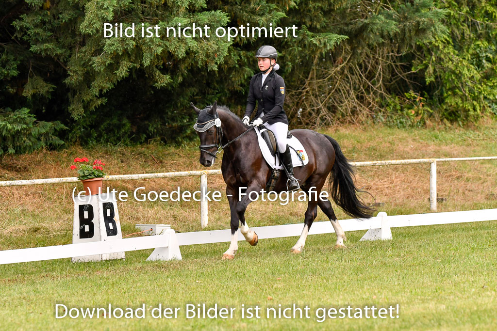 Goldene Schärpe Ponys in Hohenberg Krusemark 2024 | 12072024 Dressur _0274 