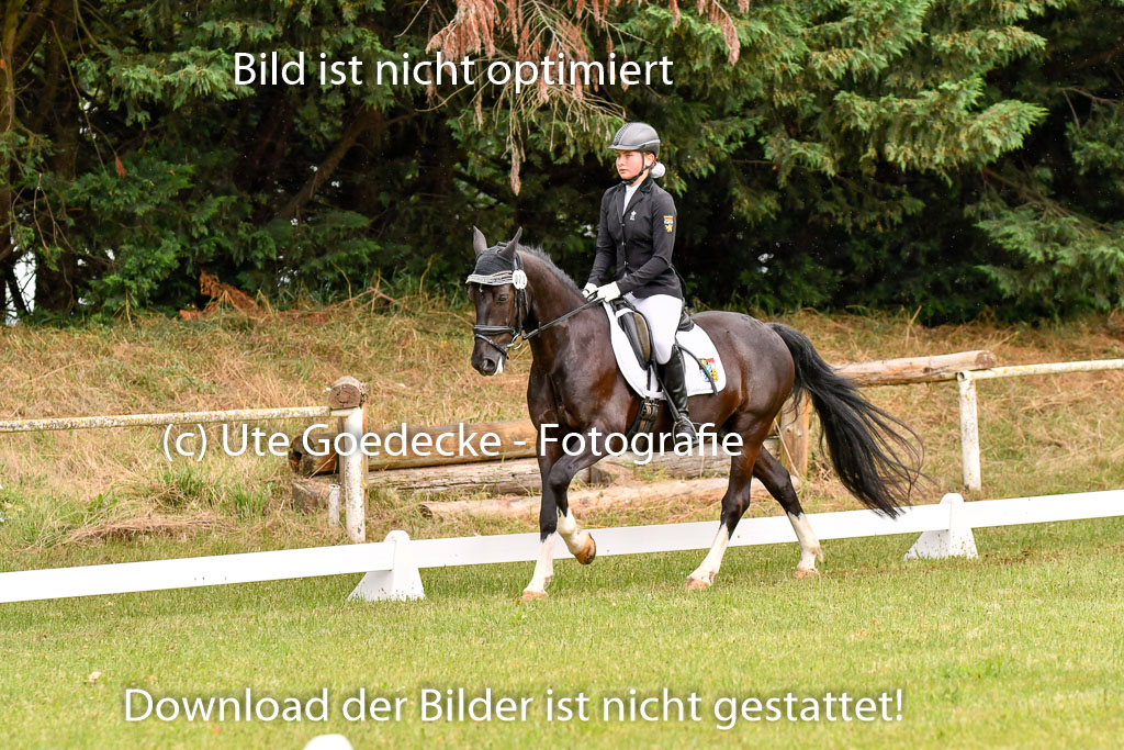 Goldene Schärpe Ponys in Hohenberg Krusemark 2024 | 12072024 Dressur _0275 