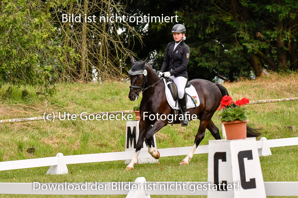 Goldene Schärpe Ponys in Hohenberg Krusemark 2024 | 12072024 Dressur _0276