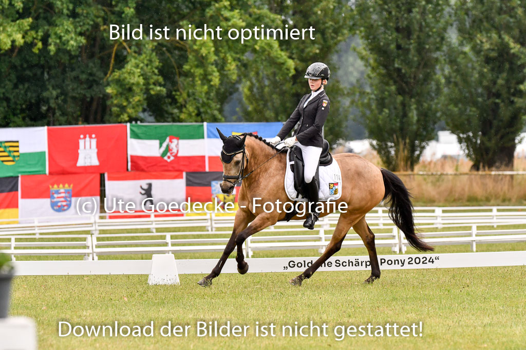 Goldene Schärpe Ponys in Hohenberg Krusemark 2024 | 12072024 Dressur _0278 