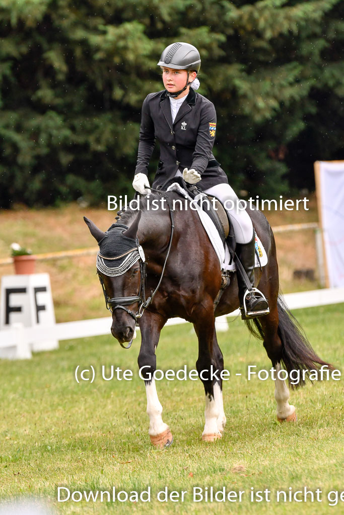 Goldene Schärpe Ponys in Hohenberg Krusemark 2024 | 12072024 Dressur _0281 