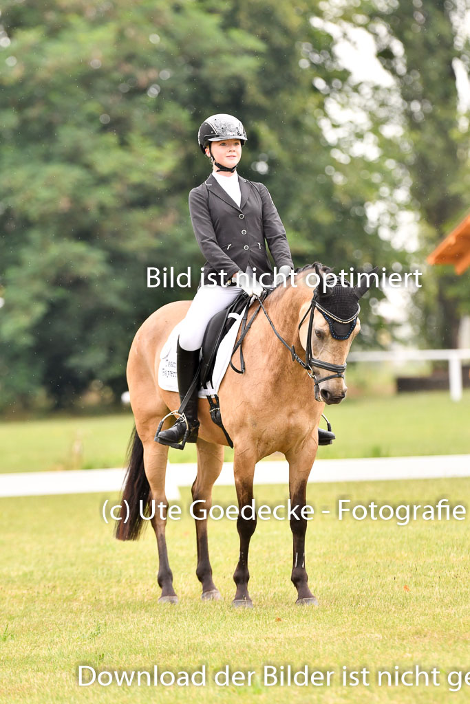 Goldene Schärpe Ponys in Hohenberg Krusemark 2024 | 12072024 Dressur _0282