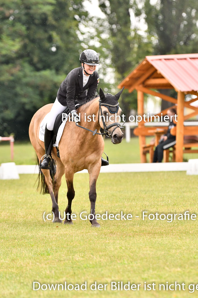 Goldene Schärpe Ponys in Hohenberg Krusemark 2024 | 12072024 Dressur _0284 