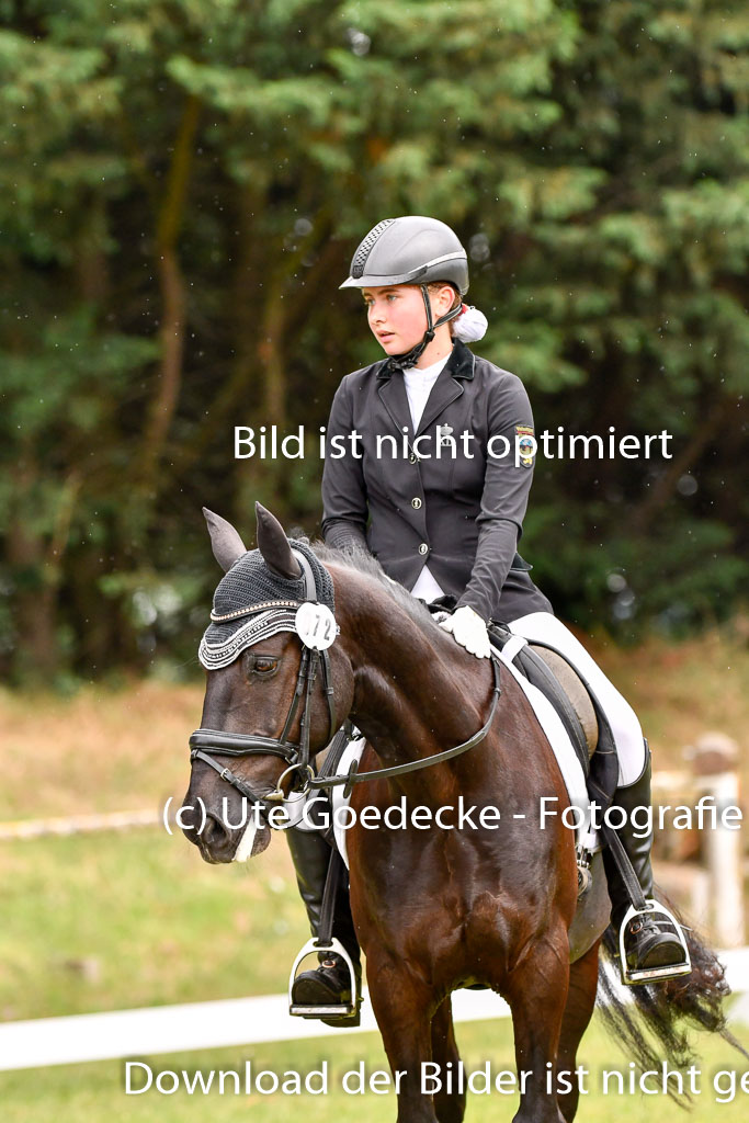 Goldene Schärpe Ponys in Hohenberg Krusemark 2024 | 12072024 Dressur _0285 