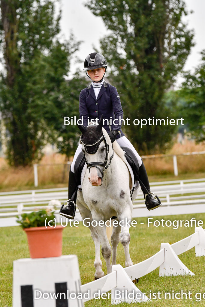 Goldene Schärpe Ponys in Hohenberg Krusemark 2024 | 12072024 Dressur _0288 