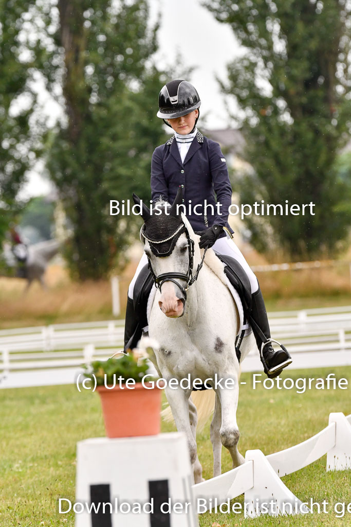 Goldene Schärpe Ponys in Hohenberg Krusemark 2024 | 12072024 Dressur _0289