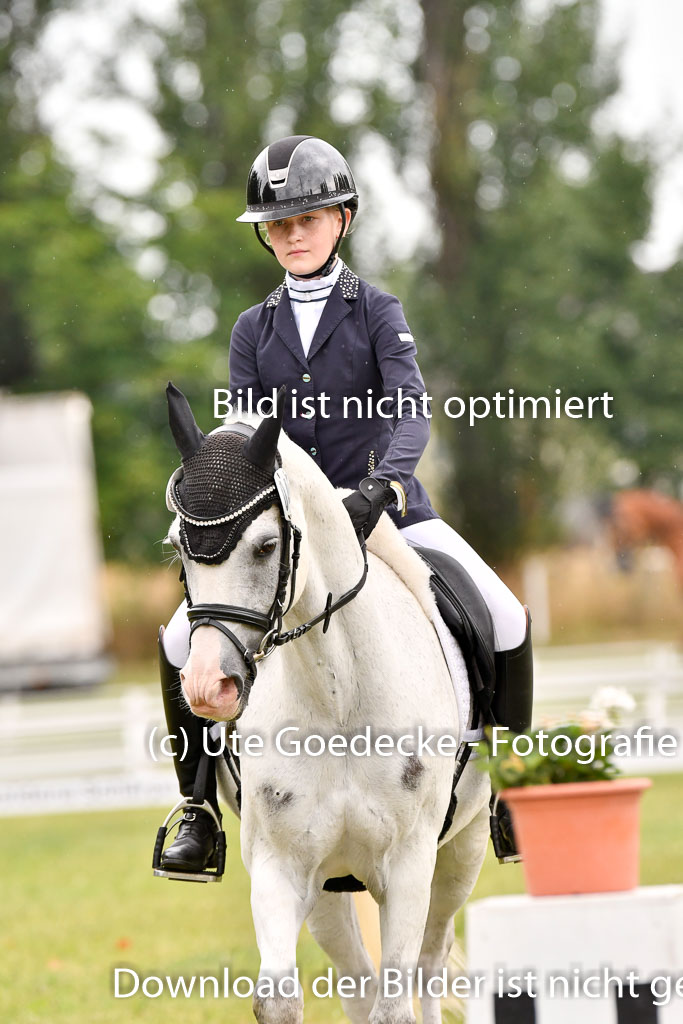 Goldene Schärpe Ponys in Hohenberg Krusemark 2024 | 12072024 Dressur _0290 