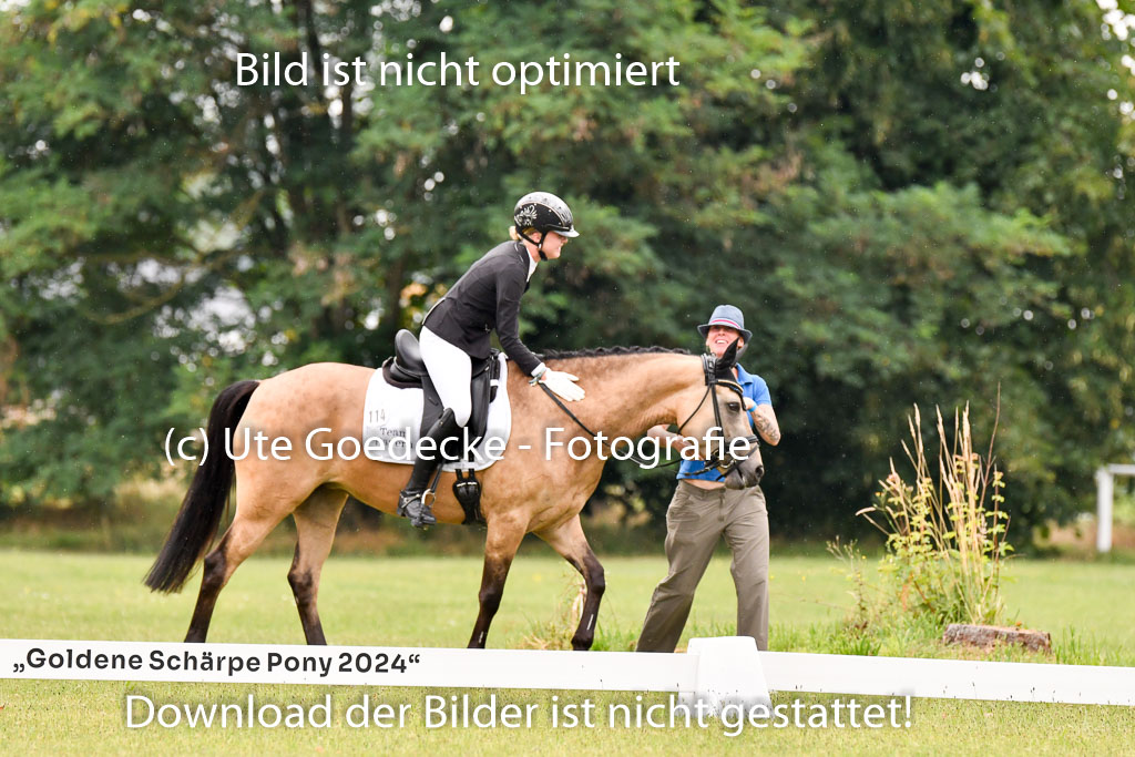 Goldene Schärpe Ponys in Hohenberg Krusemark 2024 | 12072024 Dressur _0292 