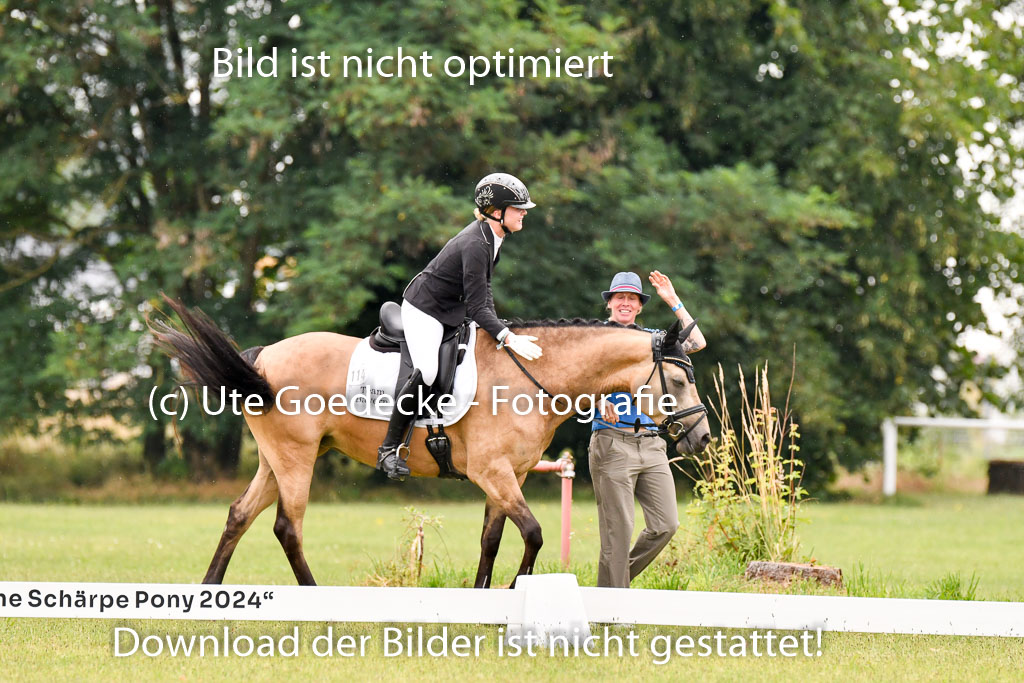 Goldene Schärpe Ponys in Hohenberg Krusemark 2024 | 12072024 Dressur _0293