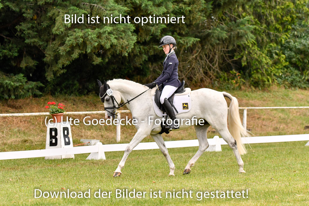 Goldene Schärpe Ponys in Hohenberg Krusemark 2024 | 12072024 Dressur _0295 