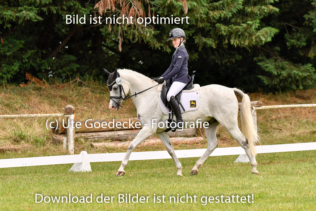 Goldene Schärpe Ponys in Hohenberg Krusemark 2024 | 12072024 Dressur _0296 