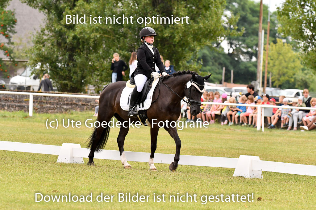 Goldene Schärpe Ponys in Hohenberg Krusemark 2024 | 12072024 Dressur _0297 