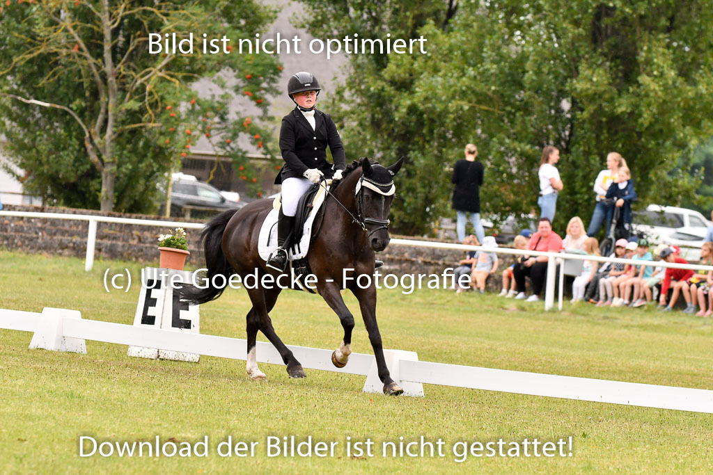 Goldene Schärpe Ponys in Hohenberg Krusemark 2024 | 12072024 Dressur _0300