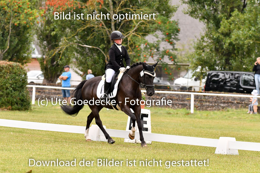 Goldene Schärpe Ponys in Hohenberg Krusemark 2024 | 12072024 Dressur _0303