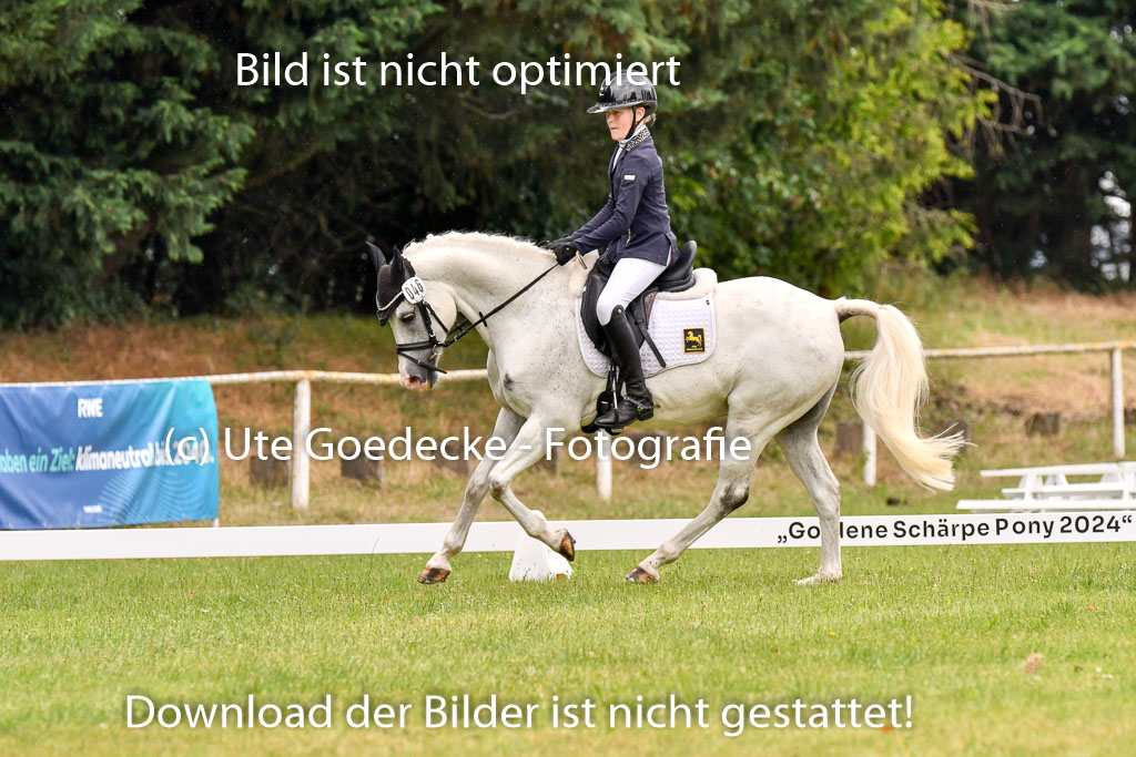 Goldene Schärpe Ponys in Hohenberg Krusemark 2024 | 12072024 Dressur _0305
