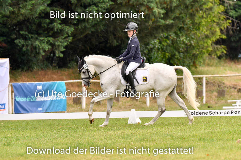 Goldene Schärpe Ponys in Hohenberg Krusemark 2024 | 12072024 Dressur _0306
