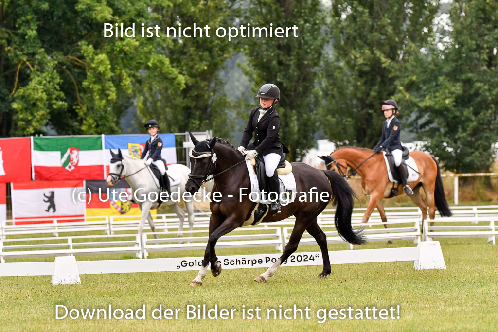 Goldene Schärpe Ponys in Hohenberg Krusemark 2024 | 12072024 Dressur _0307