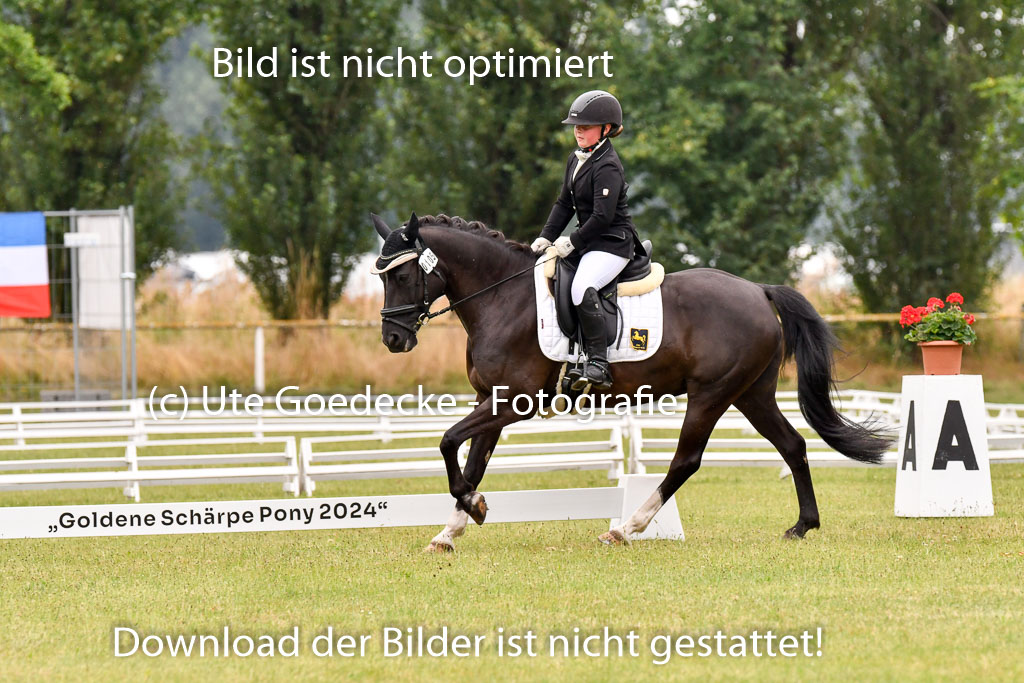 Goldene Schärpe Ponys in Hohenberg Krusemark 2024 | 12072024 Dressur _0308