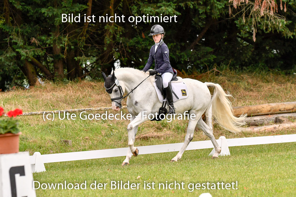 Goldene Schärpe Ponys in Hohenberg Krusemark 2024 | 12072024 Dressur _0311