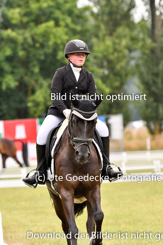 Goldene Schärpe Ponys in Hohenberg Krusemark 2024 | 12072024 Dressur _0313