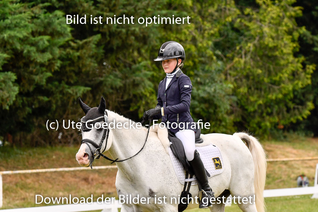 Goldene Schärpe Ponys in Hohenberg Krusemark 2024 | 12072024 Dressur _0316