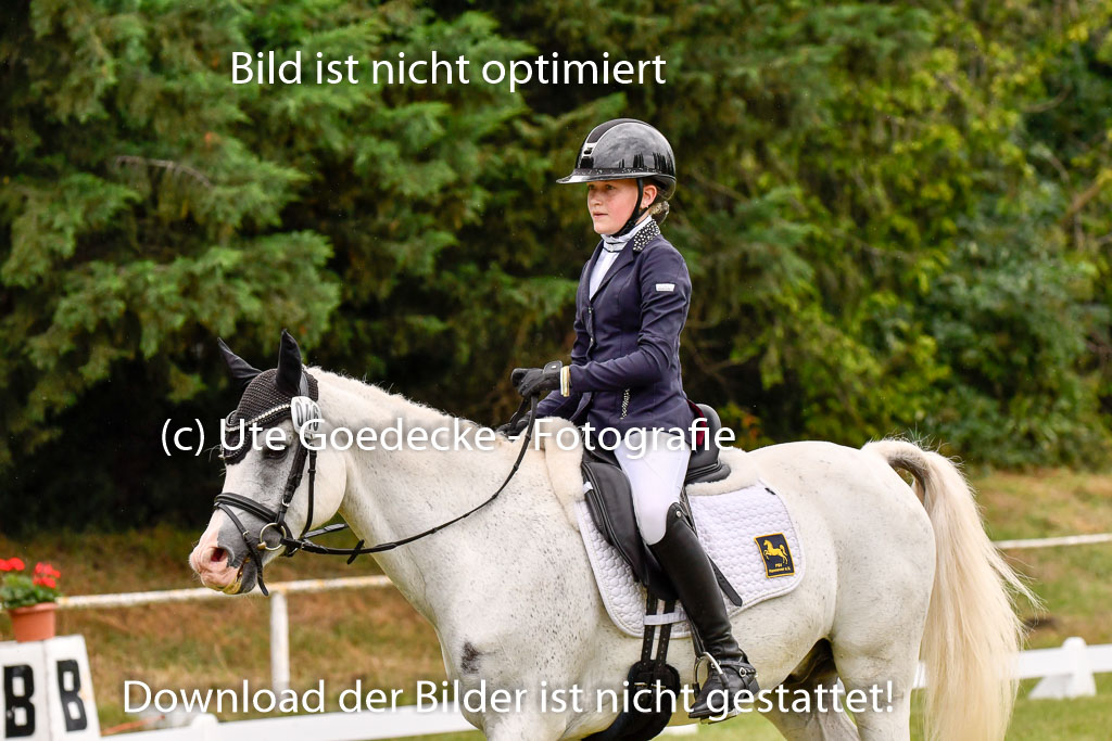 Goldene Schärpe Ponys in Hohenberg Krusemark 2024 | 12072024 Dressur _0317