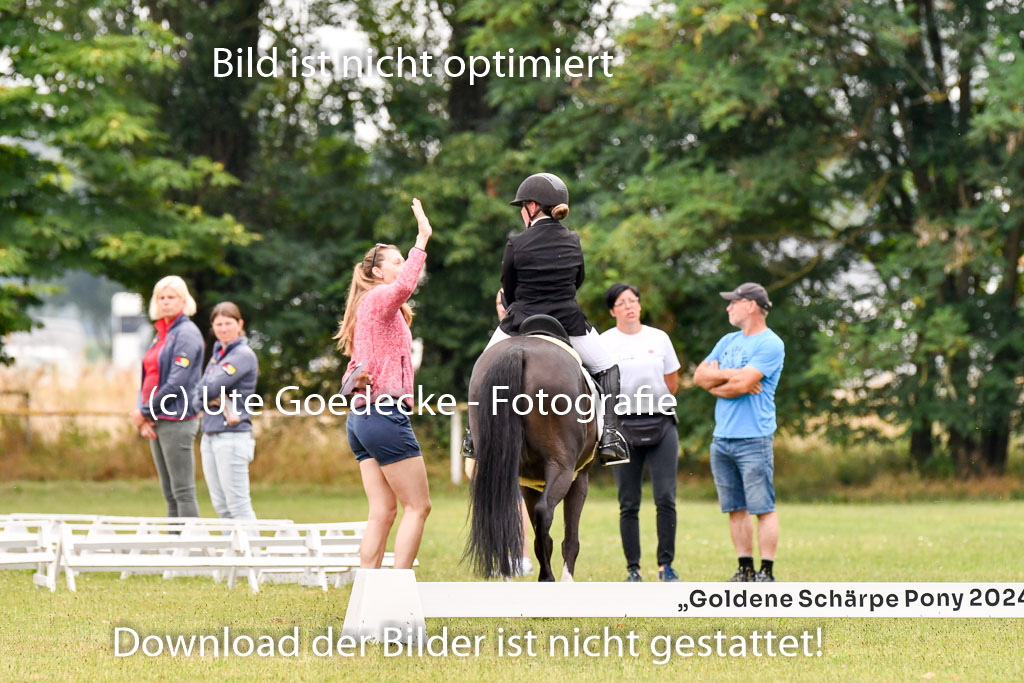Goldene Schärpe Ponys in Hohenberg Krusemark 2024 | 12072024 Dressur _0319