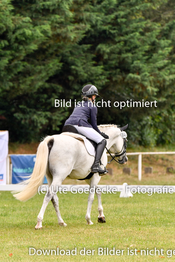 Goldene Schärpe Ponys in Hohenberg Krusemark 2024 | 12072024 Dressur _0321