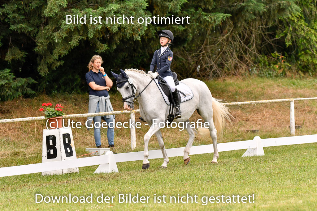 Goldene Schärpe Ponys in Hohenberg Krusemark 2024 | 12072024 Dressur _0322