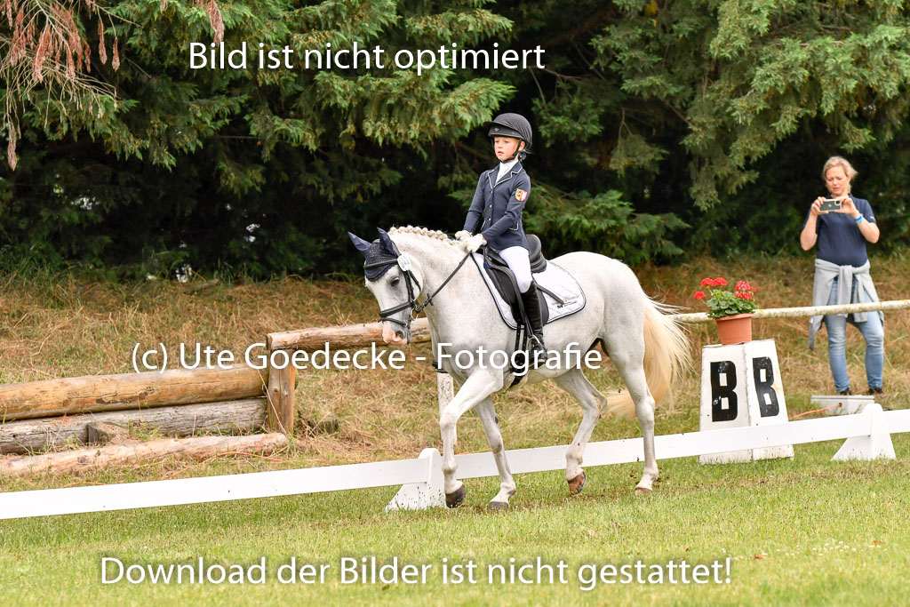 Goldene Schärpe Ponys in Hohenberg Krusemark 2024 | 12072024 Dressur _0323