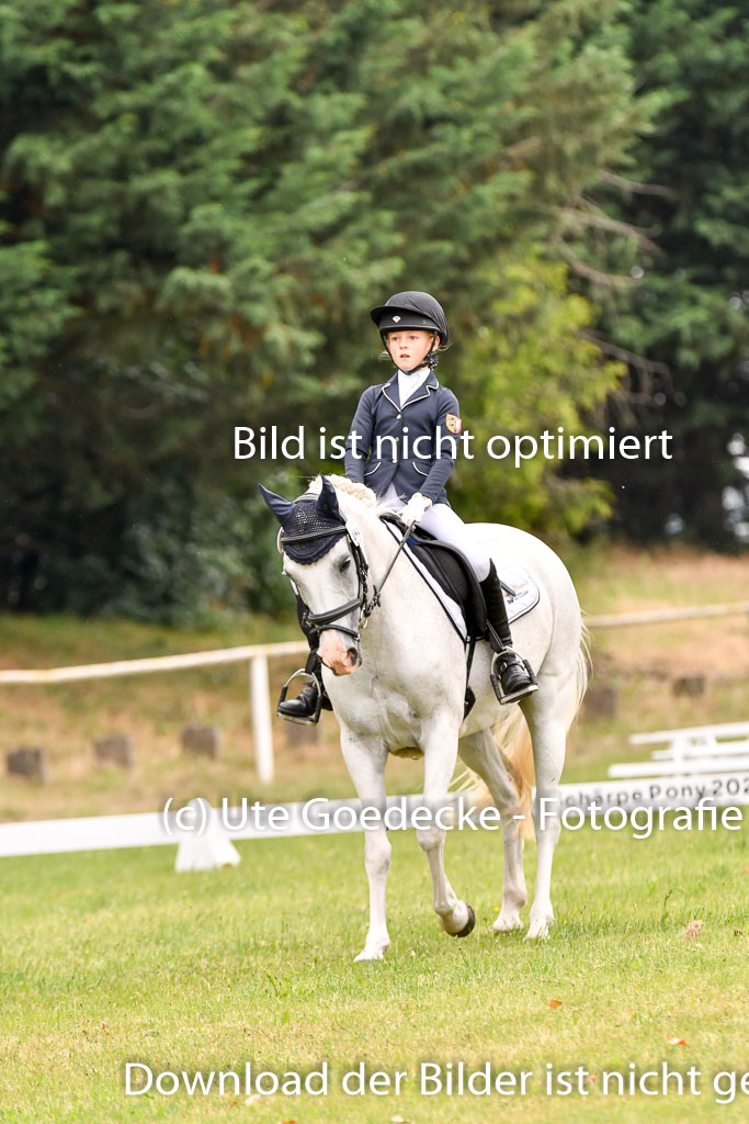 Goldene Schärpe Ponys in Hohenberg Krusemark 2024 | 12072024 Dressur _0325