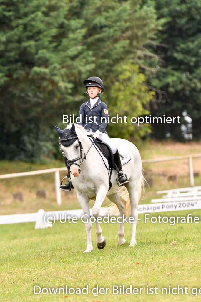 Goldene Schärpe Ponys in Hohenberg Krusemark 2024 | 12072024 Dressur _0326