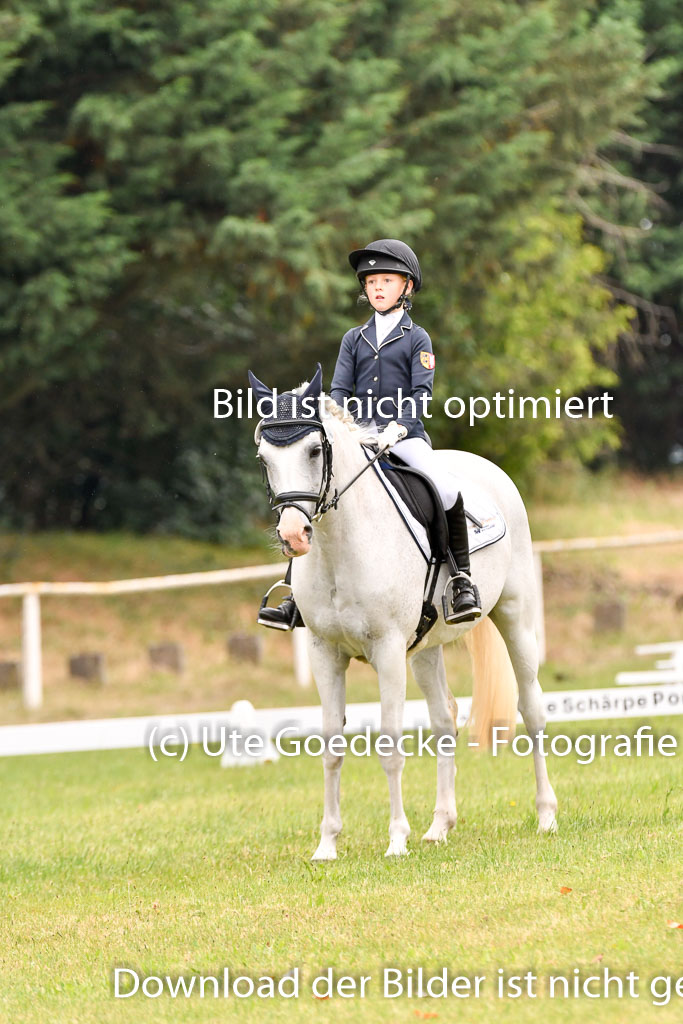 Goldene Schärpe Ponys in Hohenberg Krusemark 2024 | 12072024 Dressur _0327
