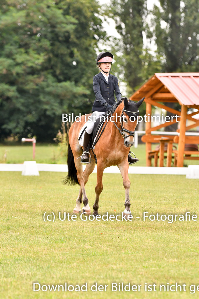 Goldene Schärpe Ponys in Hohenberg Krusemark 2024 | 12072024 Dressur _0328