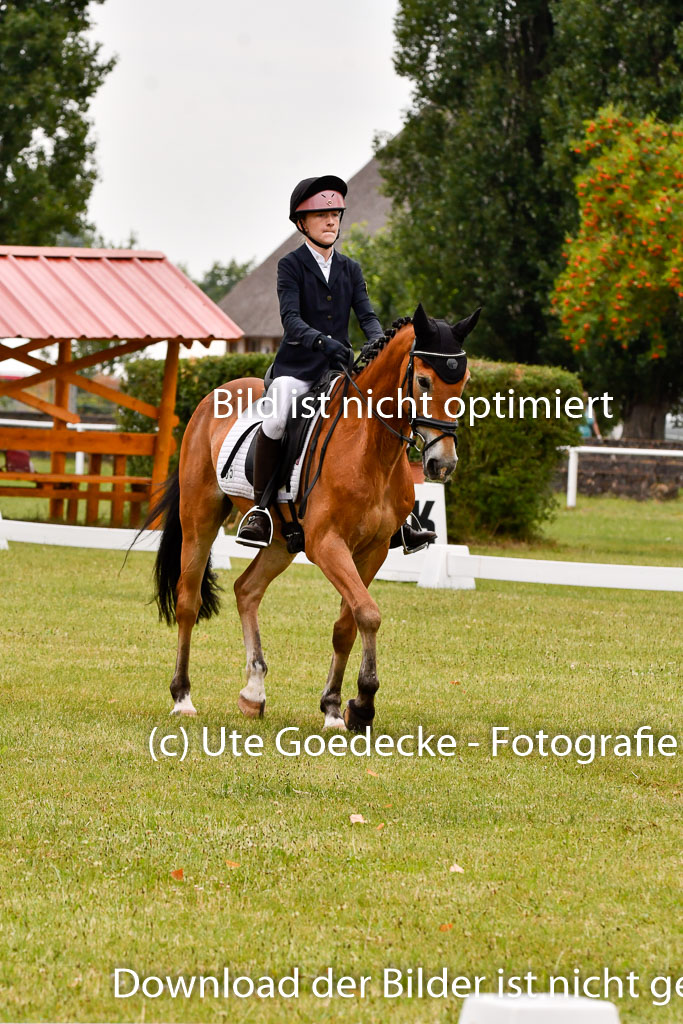 Goldene Schärpe Ponys in Hohenberg Krusemark 2024 | 12072024 Dressur _0329