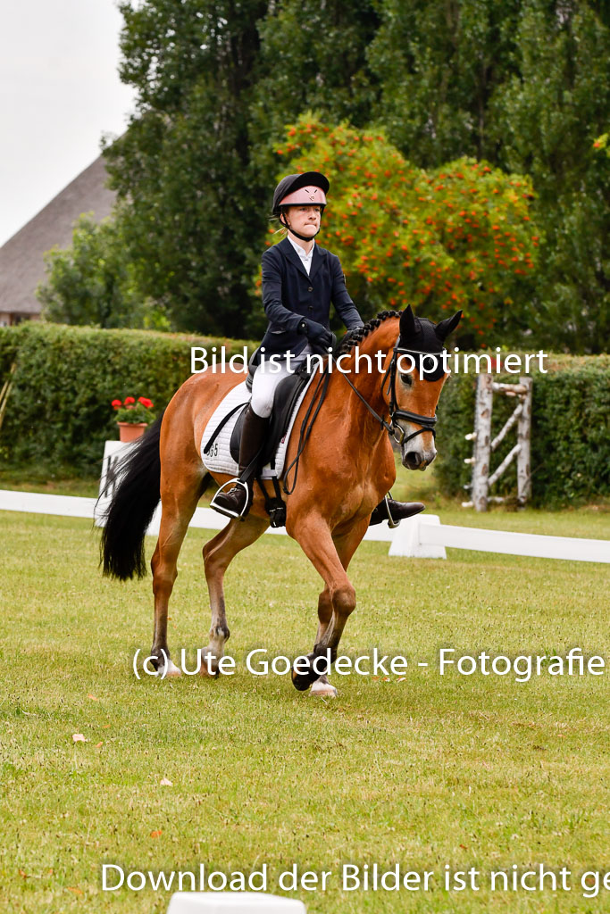 Goldene Schärpe Ponys in Hohenberg Krusemark 2024 | 12072024 Dressur _0330