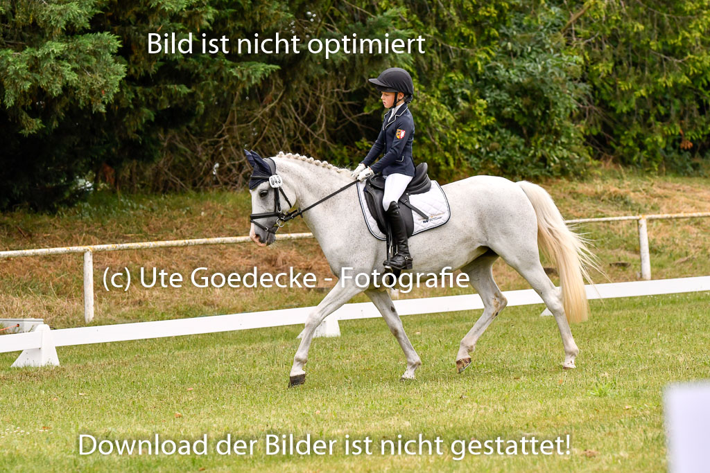 Goldene Schärpe Ponys in Hohenberg Krusemark 2024 | 12072024 Dressur _0331