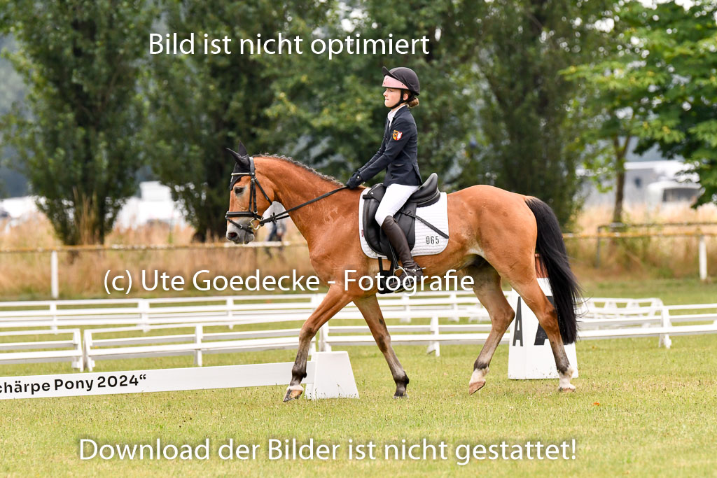 Goldene Schärpe Ponys in Hohenberg Krusemark 2024 | 12072024 Dressur _0332