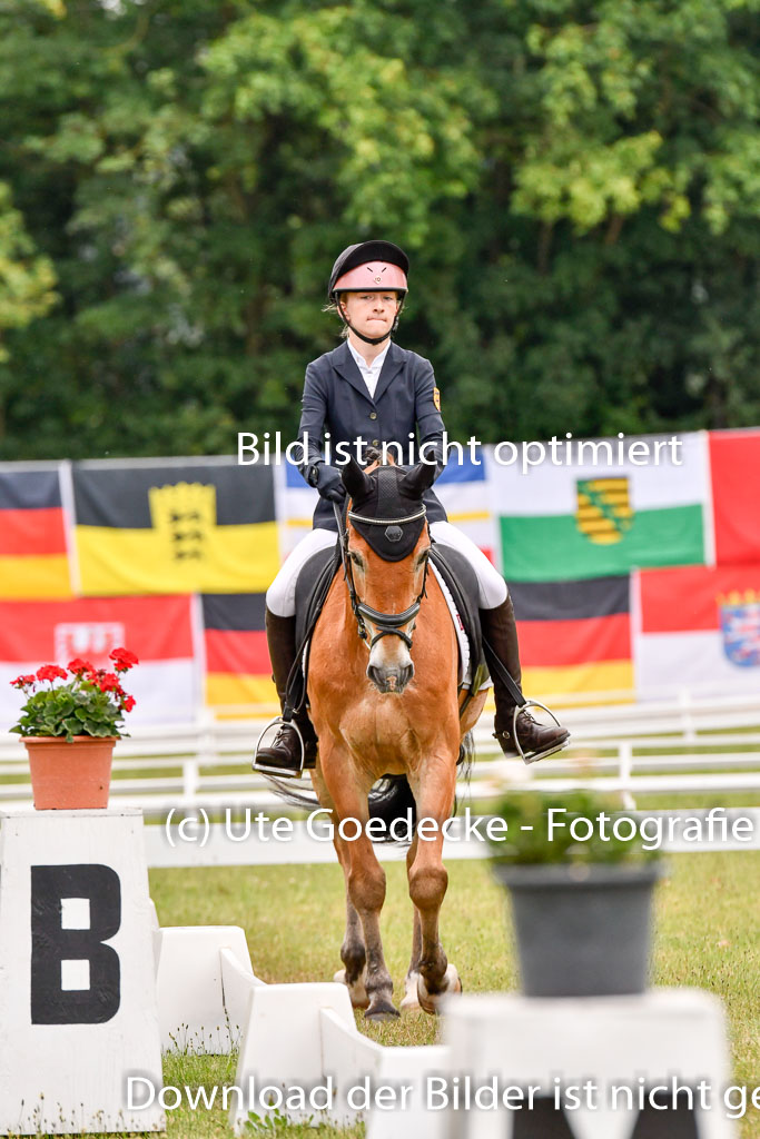 Goldene Schärpe Ponys in Hohenberg Krusemark 2024 | 12072024 Dressur _0334