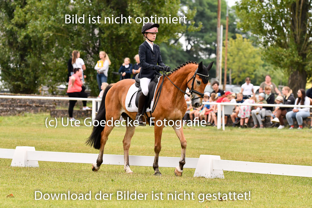 Goldene Schärpe Ponys in Hohenberg Krusemark 2024 | 12072024 Dressur _0335