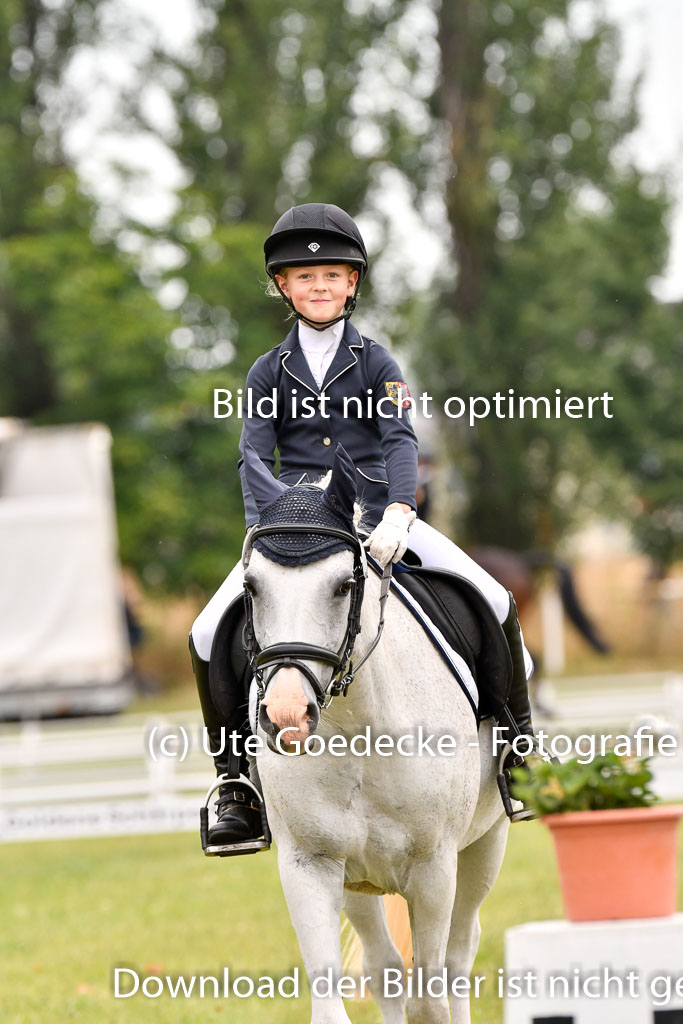 Goldene Schärpe Ponys in Hohenberg Krusemark 2024 | 12072024 Dressur _0336