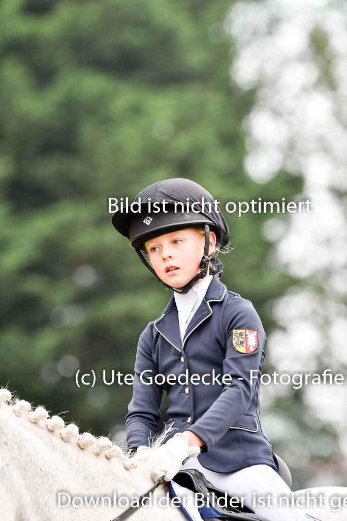 Goldene Schärpe Ponys in Hohenberg Krusemark 2024 | 12072024 Dressur _0339