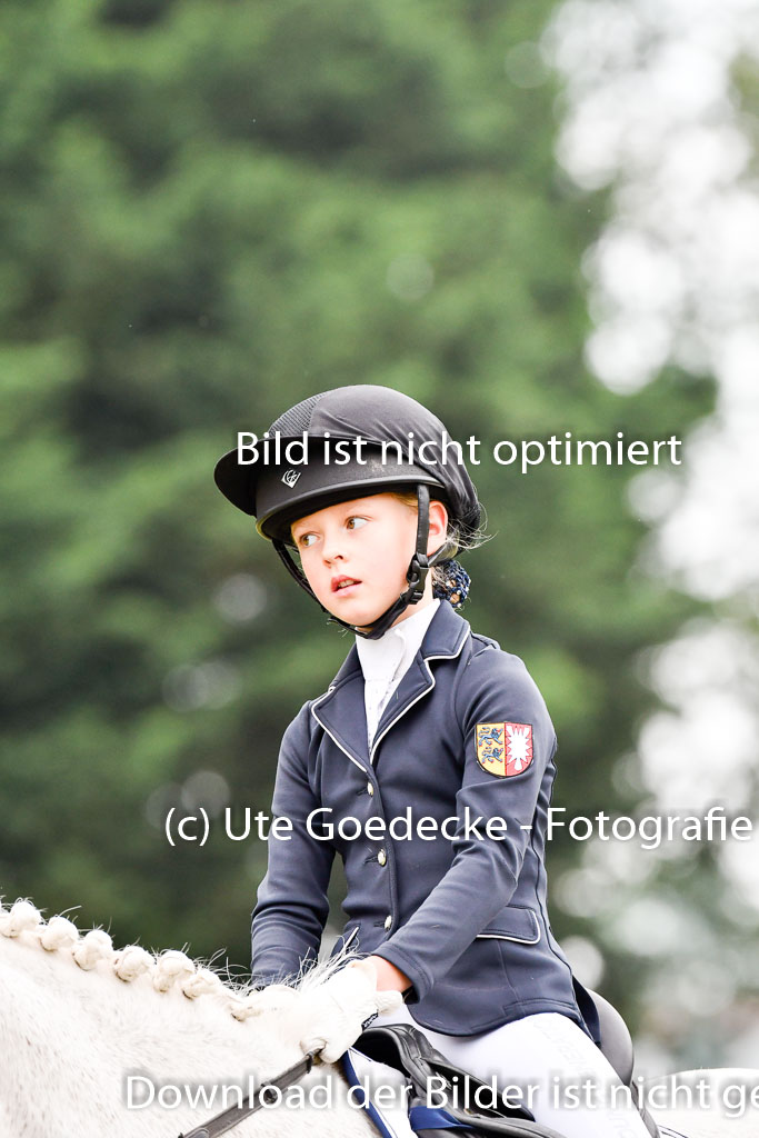 Goldene Schärpe Ponys in Hohenberg Krusemark 2024 | 12072024 Dressur _0340