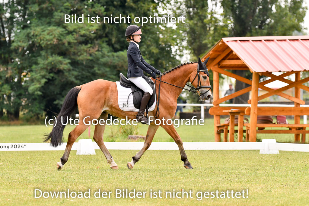 Goldene Schärpe Ponys in Hohenberg Krusemark 2024 | 12072024 Dressur _0341
