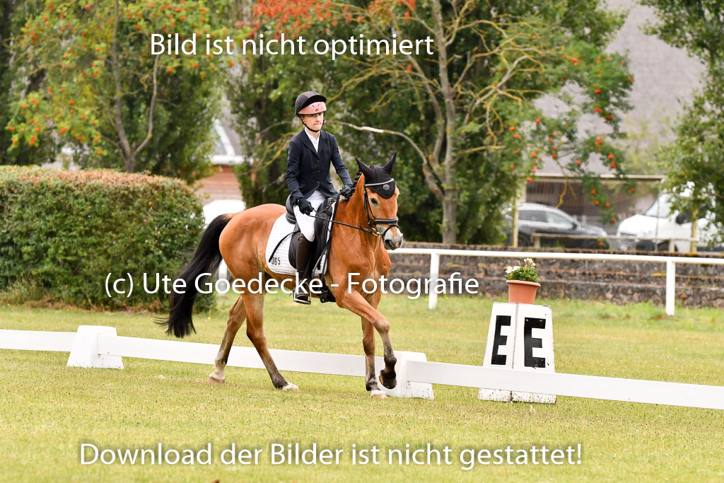 Goldene Schärpe Ponys in Hohenberg Krusemark 2024 | 12072024 Dressur _0342